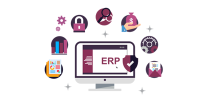 Custom ERP Solutions in Pune
